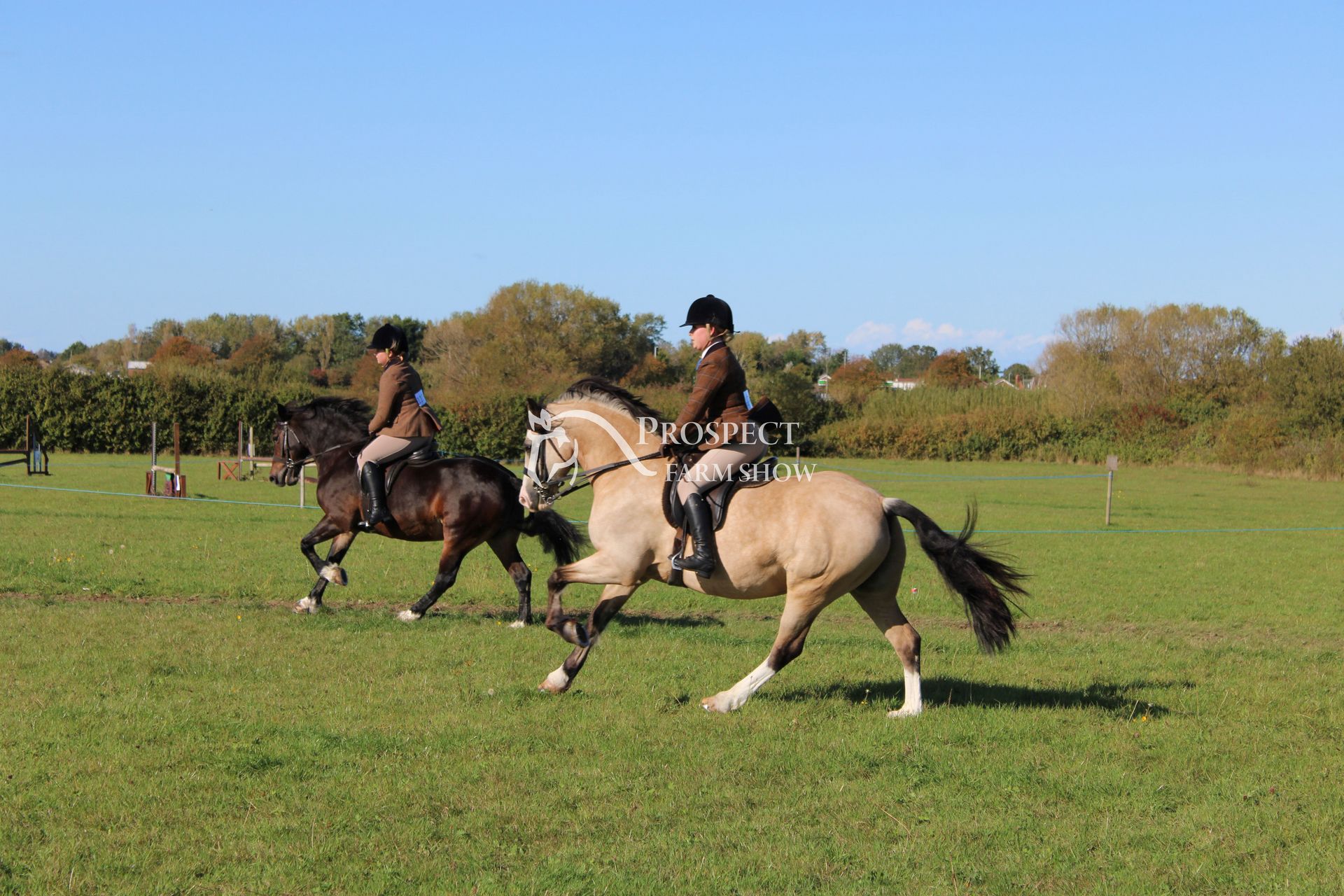 About Prospect Farm Show - Official Site